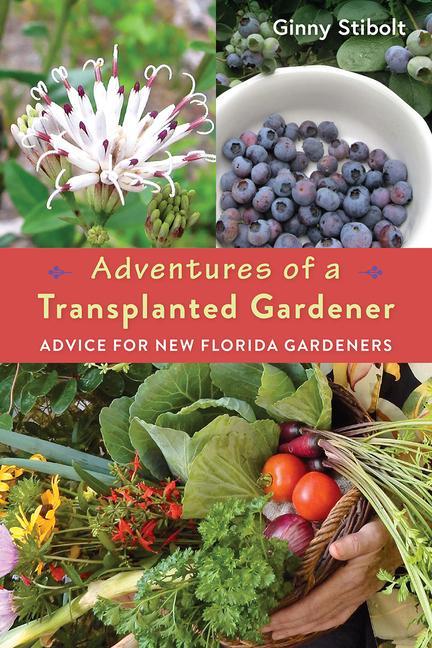 Adventures Of A Transplanted Gardener : Advice For New Florida Gardeners by Ginny Stibolt