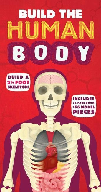 Build The Human Body by Richard Walker