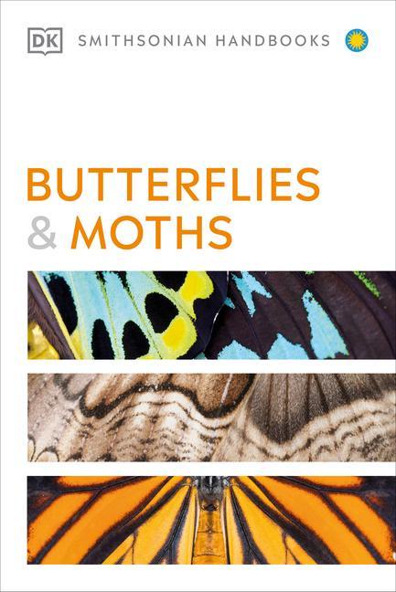 Butterflies And Moths by David Carter