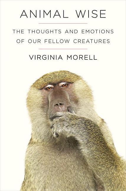 Animal Wise : The Thoughts And Emotions Of Our Fellow Creatures by Virginia Morell